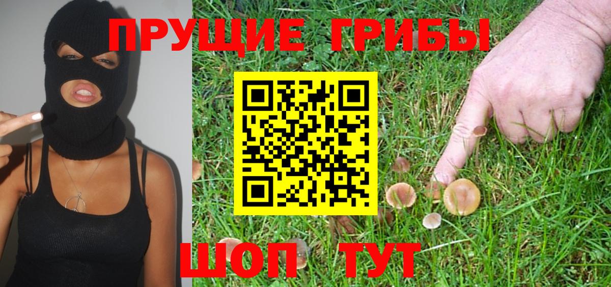 Коряжма  Галлюциногенные грибы ЛСД  Вход с VPN 