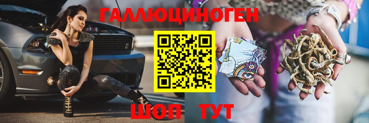 Галлюциногенные грибы Cubensis Коряжма